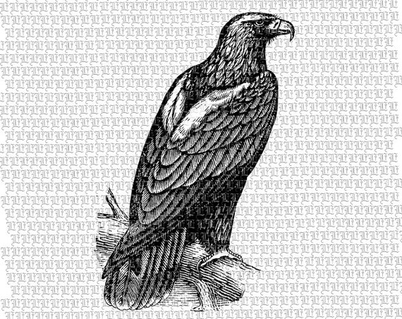 Items similar to Imperial Eagle Bird Graphic Antique Vintage Clip Art ...