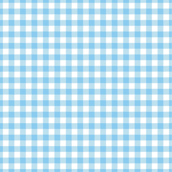 light blue gingham pants