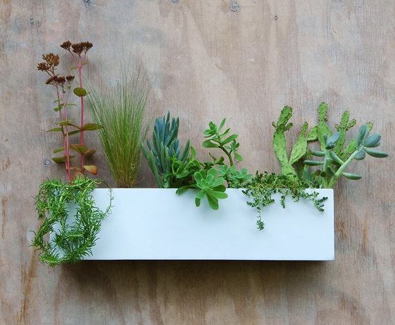 Modern  White Succulent Wall  Trough Planter  Free by UrbanMettle