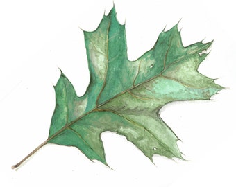Leaves Variety Watercolor Greeting Card Set