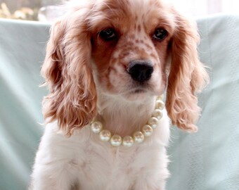 Cream Pearl Dog Collar. Large Size Pearl Pet Wedding Jewelry for Dogs. Large Dog Ivory Pearl Collar. Pet Accessories for Mans Best Friend.