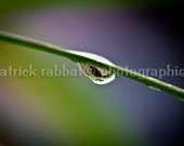 Drop of Water Photo Fine Art Photography Water Droplet Nature Zen Minimalist Green Purple Drop of Water Photo Fine Art Photography Water Droplet Nature Zen Minimalist Green Purple