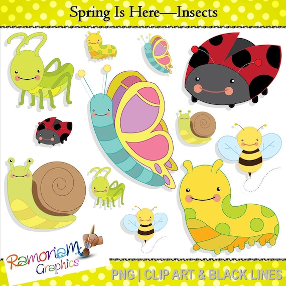 spring insects clipart - photo #9
