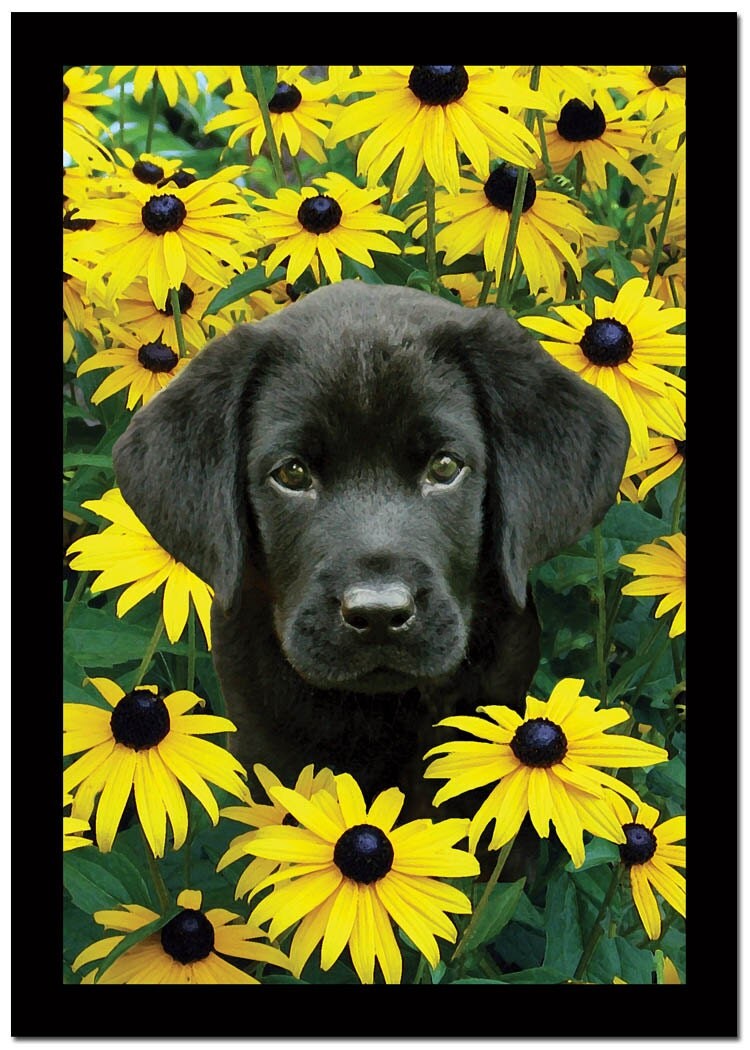 Cette carte  d anniversaire  de chiot Labrador  noir de belle