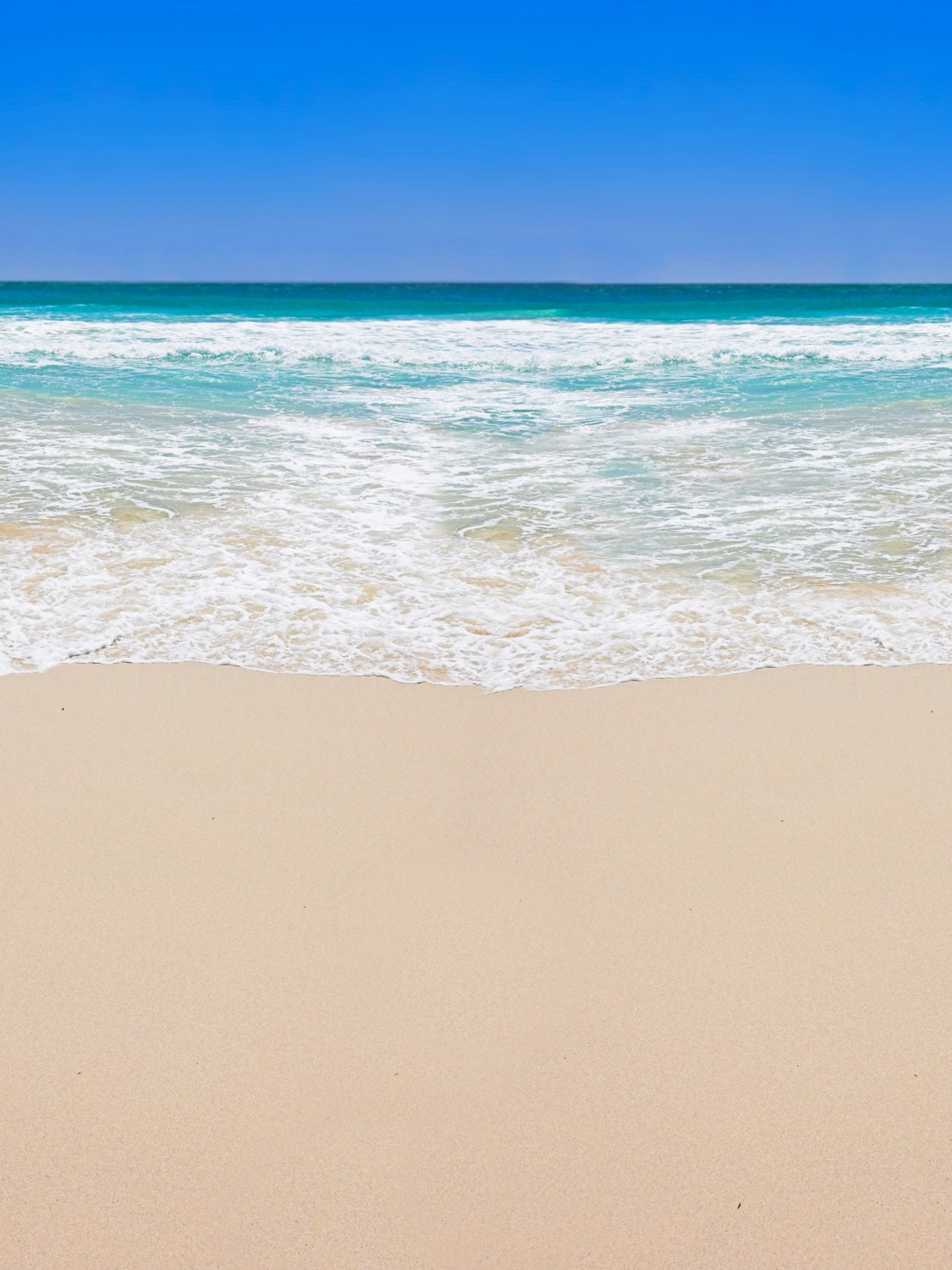 Ocean Beach Backdrop Sand Photography Background Portrait