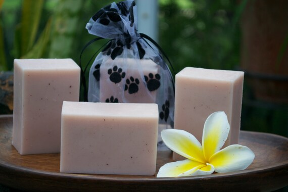 Brownie Bar Dog Soap - Pest Repellent