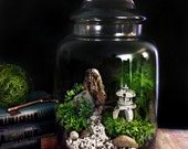 Custom Japanese Garden Terrarium with Miniature Path, Pagoda, Tree in a Large Apothecary Jar