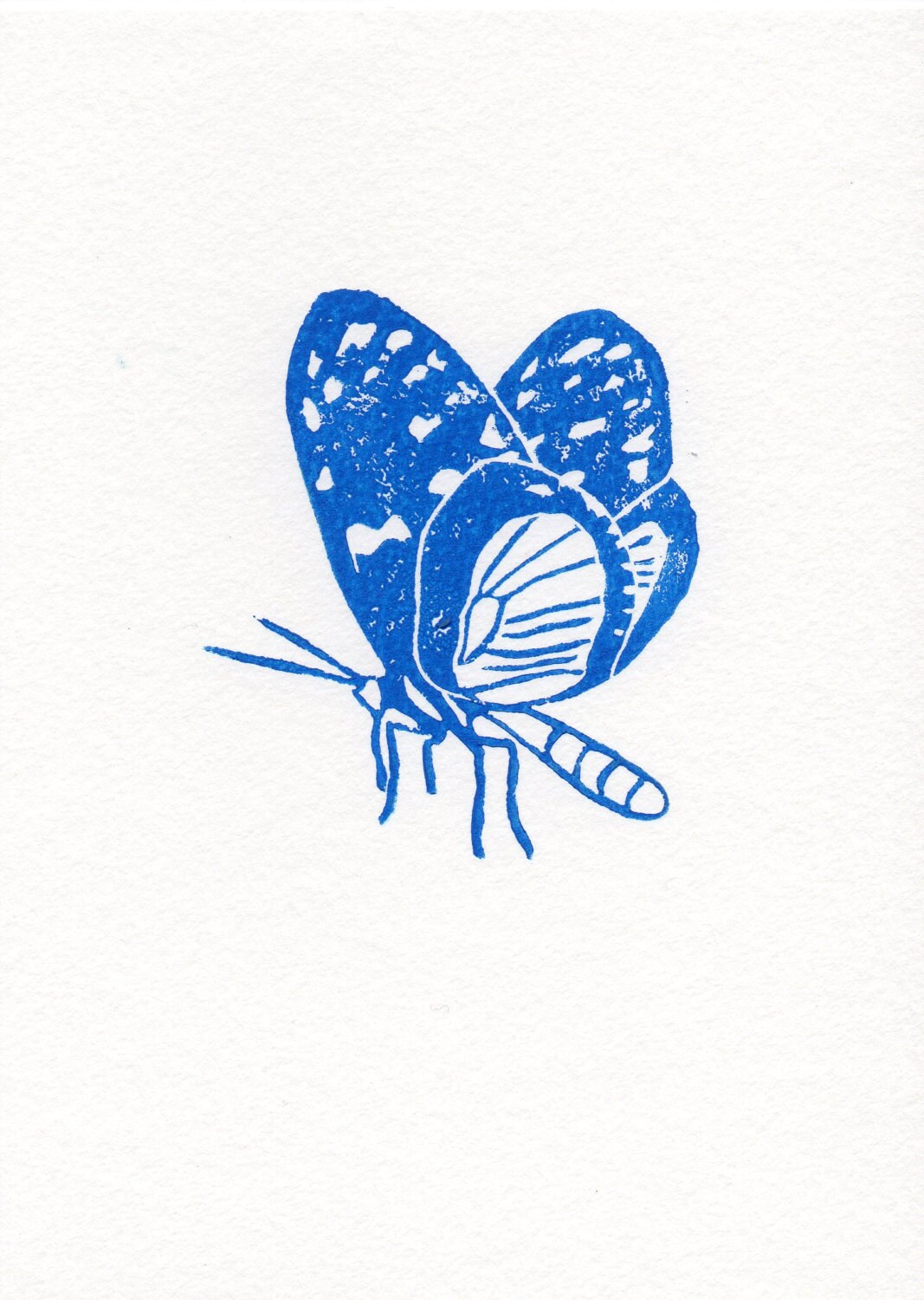 Blue Linocut Butterfly Woodblock Printmaking Art by WeThinkSmall