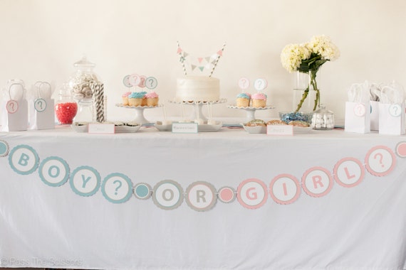 BOY? OR GIRL? Banner, Gender Reveal Party, Baby Shower Decor, Baby Shower Banner Il_570xn
