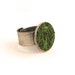Modern Moss Ring, Eco Friendly, Terrarium Jewelry, Terrarium Ring, Terrarium, Green Ring, Living Plant Jewelry, Gardner Naturalist