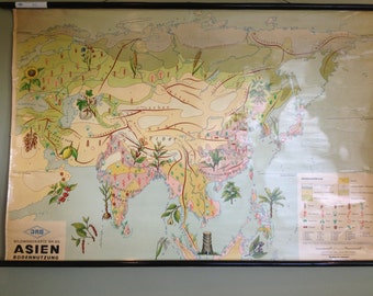Vintage Map - Asian Vegetation Use - Wall Hanging - German Retro Decor