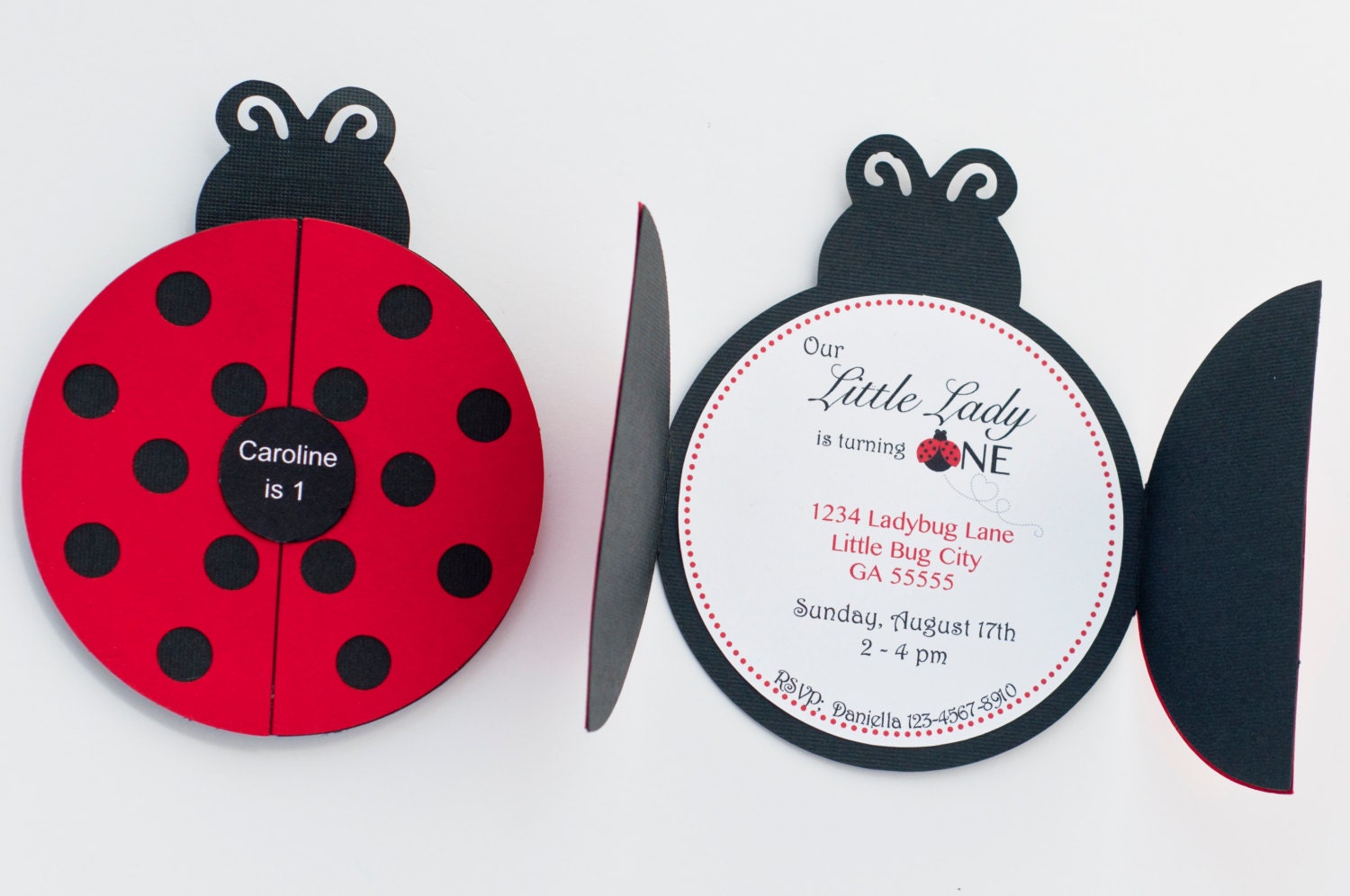 Set of 12 Ladybug Party Invitation Ladybug 1st Birthday