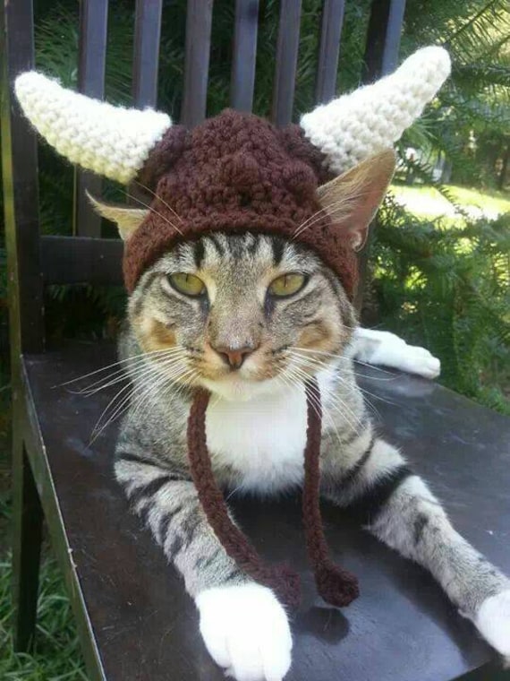 Image result for viking hat for cat