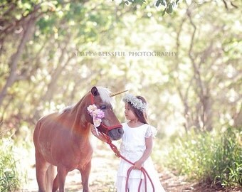 Unicorn Horn for Horse, Unicorn Horn Horse, Unicorn Horn for You Choose Size Colors, Halloween, Pony Horn,