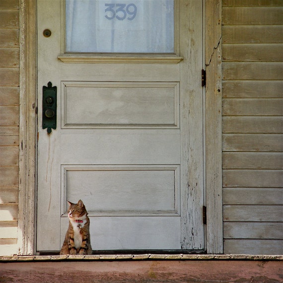 Items similar to Nostalgic fine art cat photo. Front porch, rustic