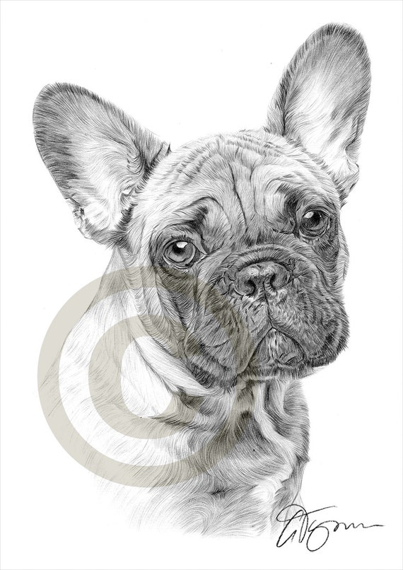 Crayon de bouledogue Français chien dessin imprimer oeuvre Crayon de bouledogue Français chien dessin imprimer oeuvre