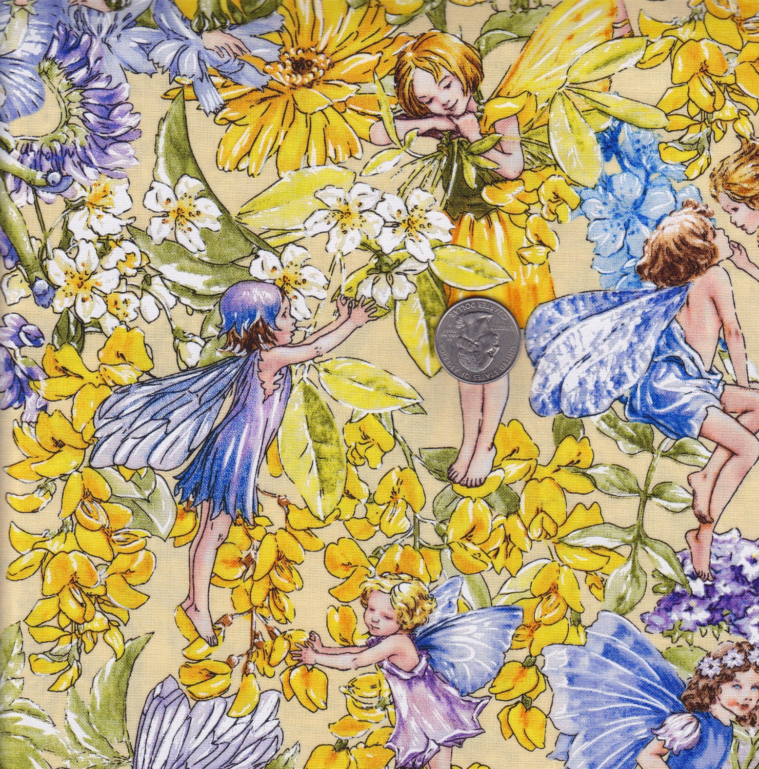 Flower Fairies Day Fairies Michael Miller cotton quilt fabric