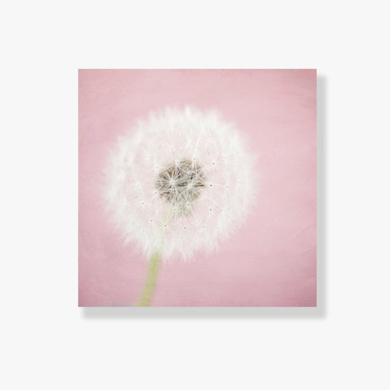 Items similar to Pink Dandelion Canvas art, nursery decor, dusky pink