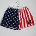 Vintage 80s Stars and Stripes Short Short Swim Trunks