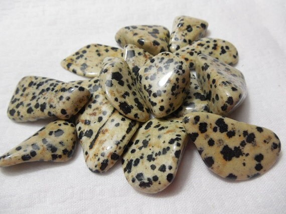 dalmation jasper element dalmation jasper element