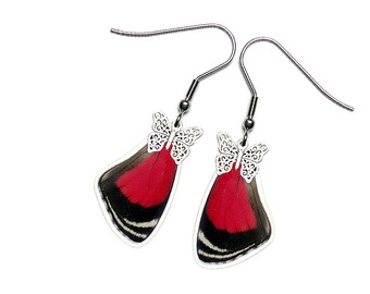 Real Butterfly Wing Earrings (Diaethria Clymena - 88 Butterfly Forewing - E183)