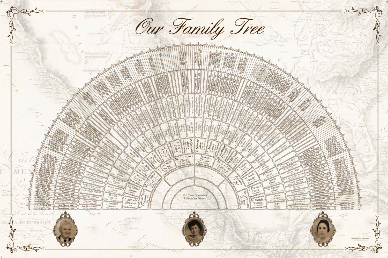 Custom Family Tree 20x30 9-Generation Fan Chart