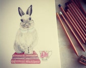 Items similar to Clever rabbit illustration on Etsy