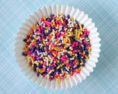 Spring Sprinkles Mix / Pink, Yellow, Purple, White Jimmies (4 oz) Il_170x135