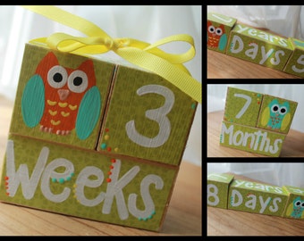 Baby Age Blocks- Baby Photo Blocks- Owl Theme Growth Block- Day- Month- Year- Baby Milestone Block- Baby Shower Gift