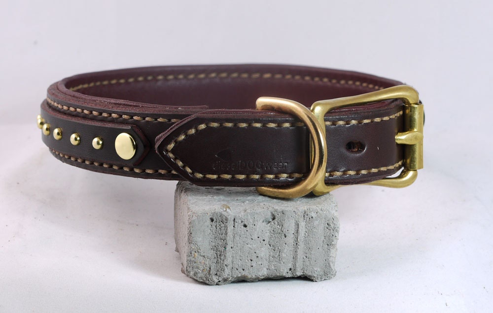 Small Classy Brass Dog Collar Leather Dog Collar with Spots