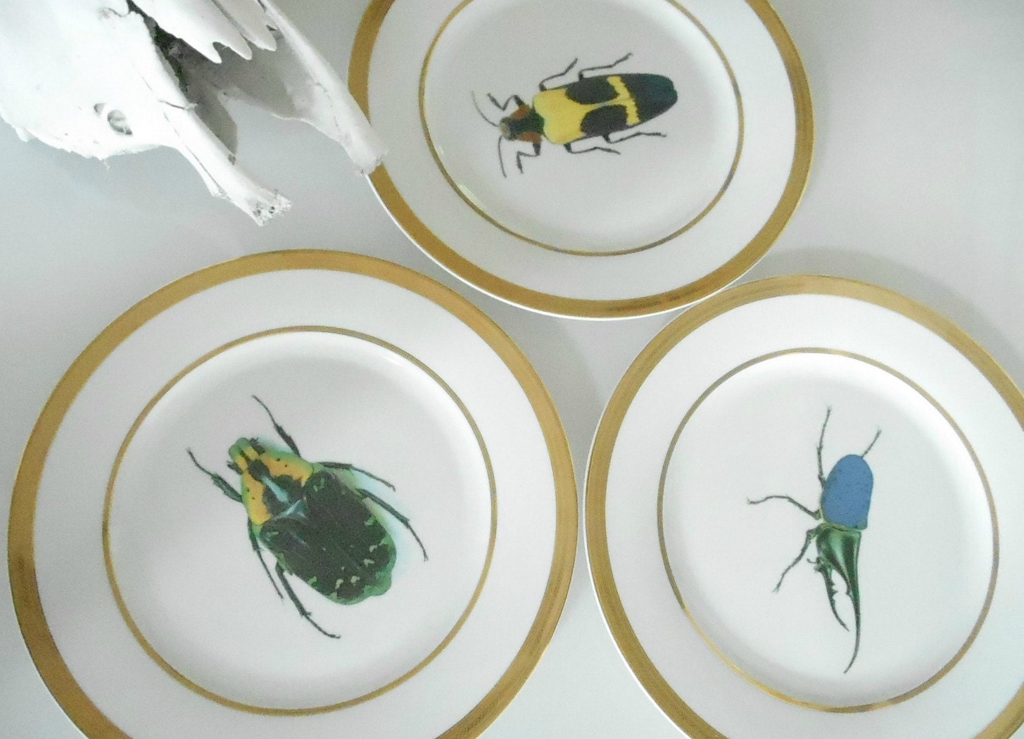 Sale Gold Porcelain Buginsect Dinner Plates - Funky Dishes Custom Plates Custom Dinnerware Custom Porcelaincustom Tableware Customized Tablewaresilver Dinnerware Silver Dishessilver Plates sale gold porcelain buginsect dinner plates - funky dishes custom plates custom dinnerware custom porcelaincustom tableware customized tablewaresilver dinnerware silver dishessilver plates