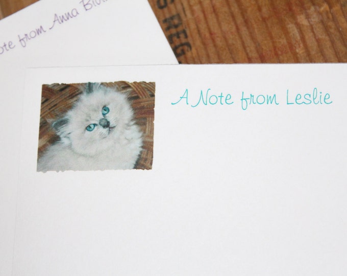Ragdoll Purebred Cat Kitten or Your Pet's Picture ~ Personalized Notepads Note Pads Note cards Your Cat's Photo