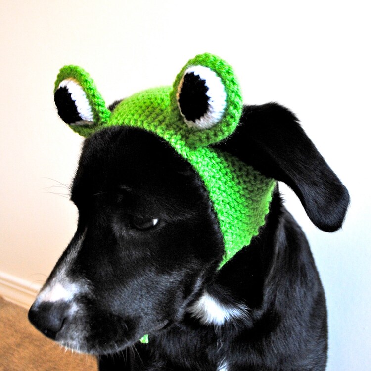 Frog Costume for Dogs Hand Knit Dog Hat Dog by bitchknits