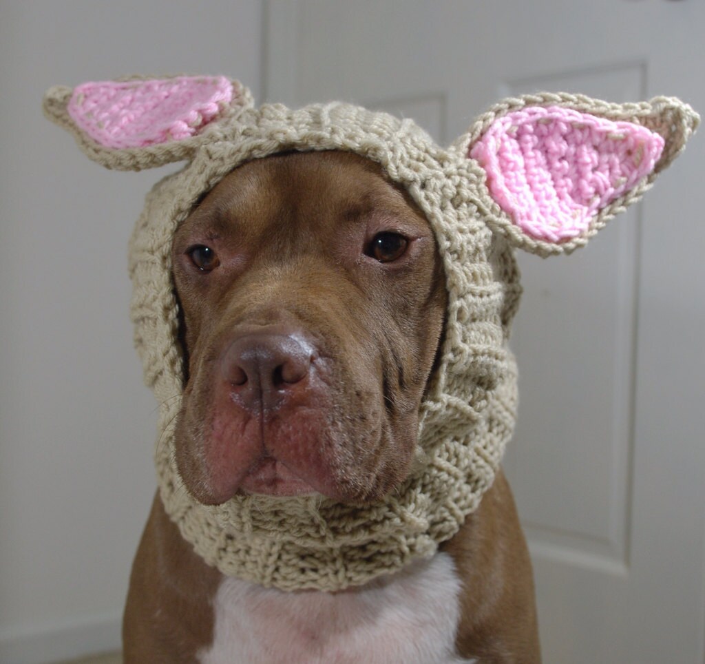 Dog Ear Warmer Crochet Tan Rabbit MADE TO ORDER by courtanai