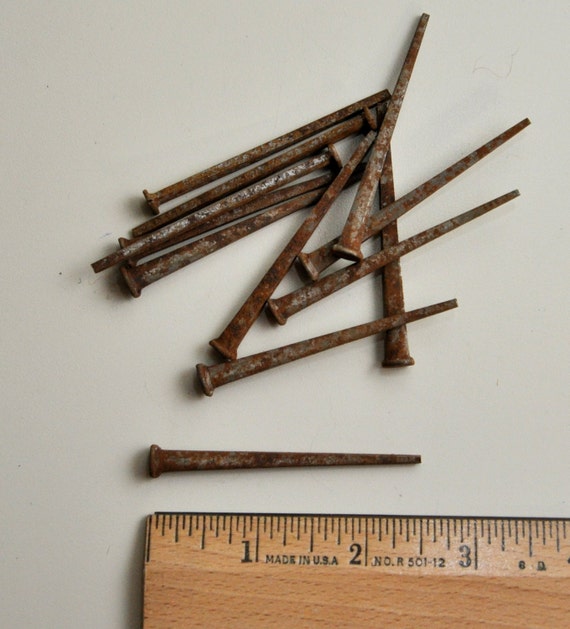 2 dozen Antique square nails 2 1/4 inch decorative nails