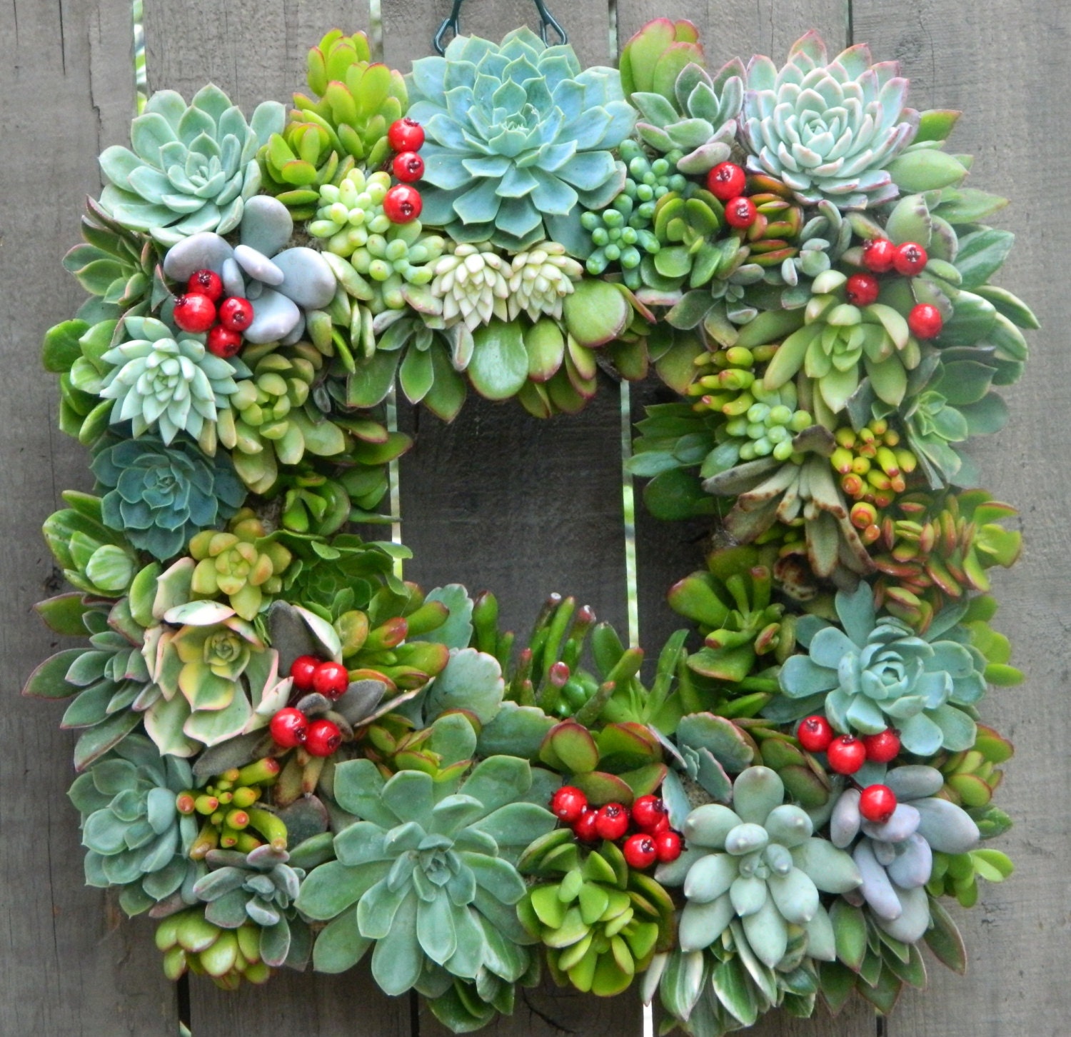 Succulent Wreath Holiday Succulent Wreath 15 Square