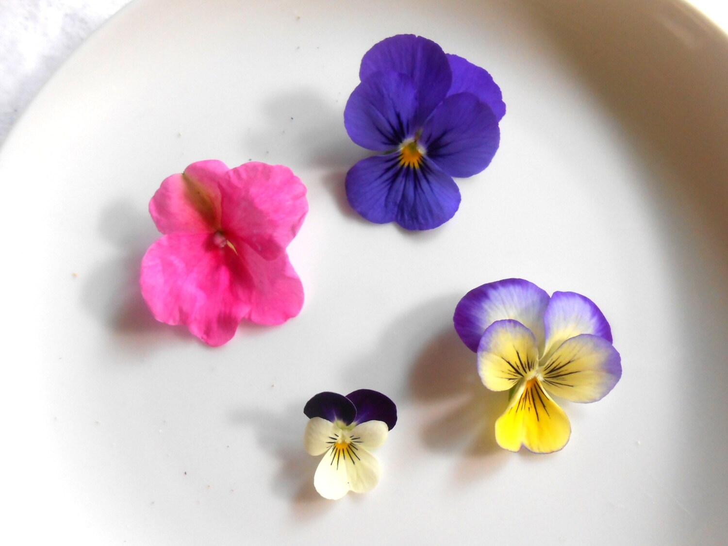 Gourmet Candied Flowers Crystallized Long Lasting Edible