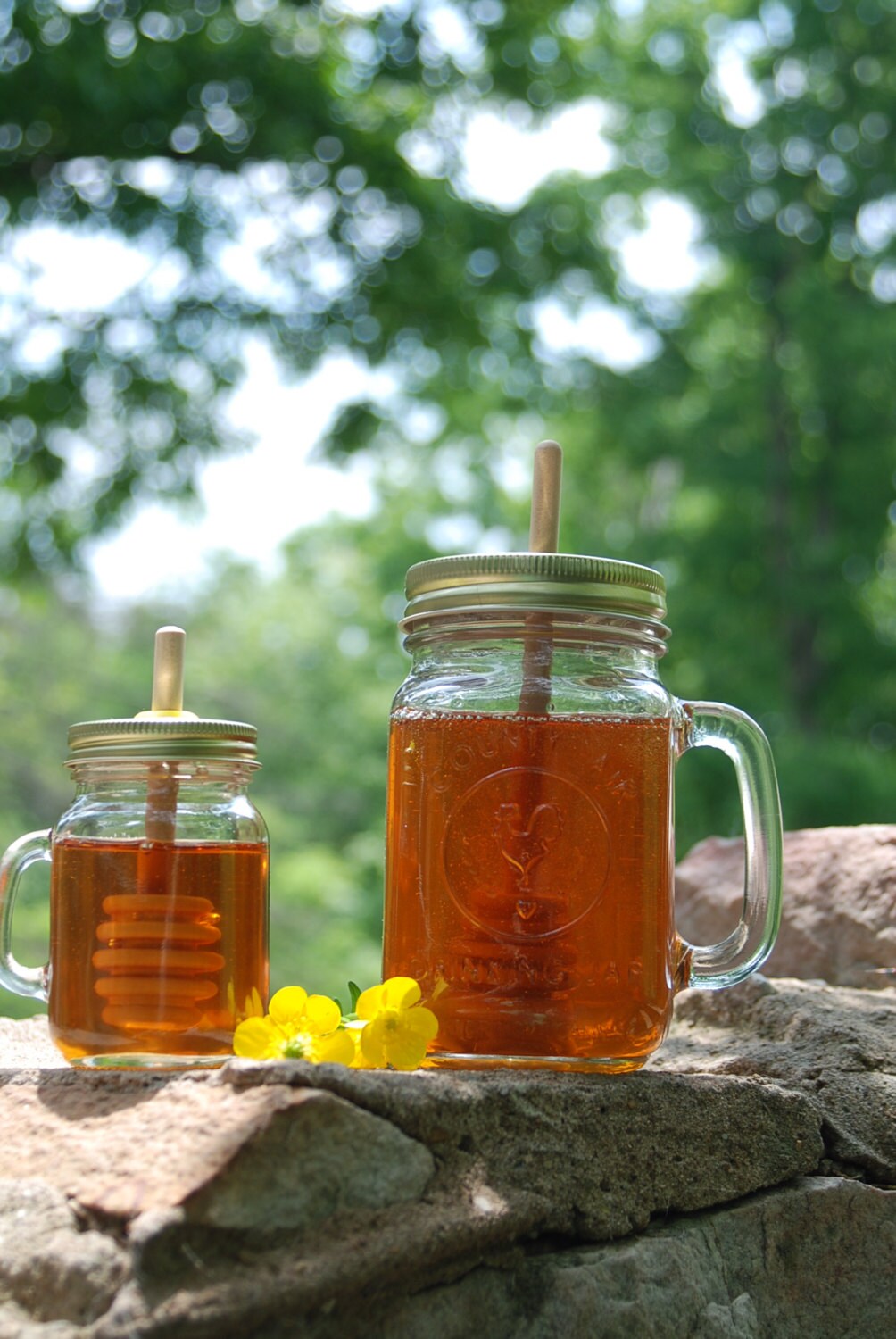1 Big Mug Mason Jar Honey Pot with Birch Dipper Empty Honey