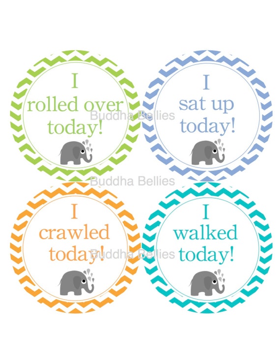 Items similar to Milestone Stickers - Elephants and Colorful Chevron ...