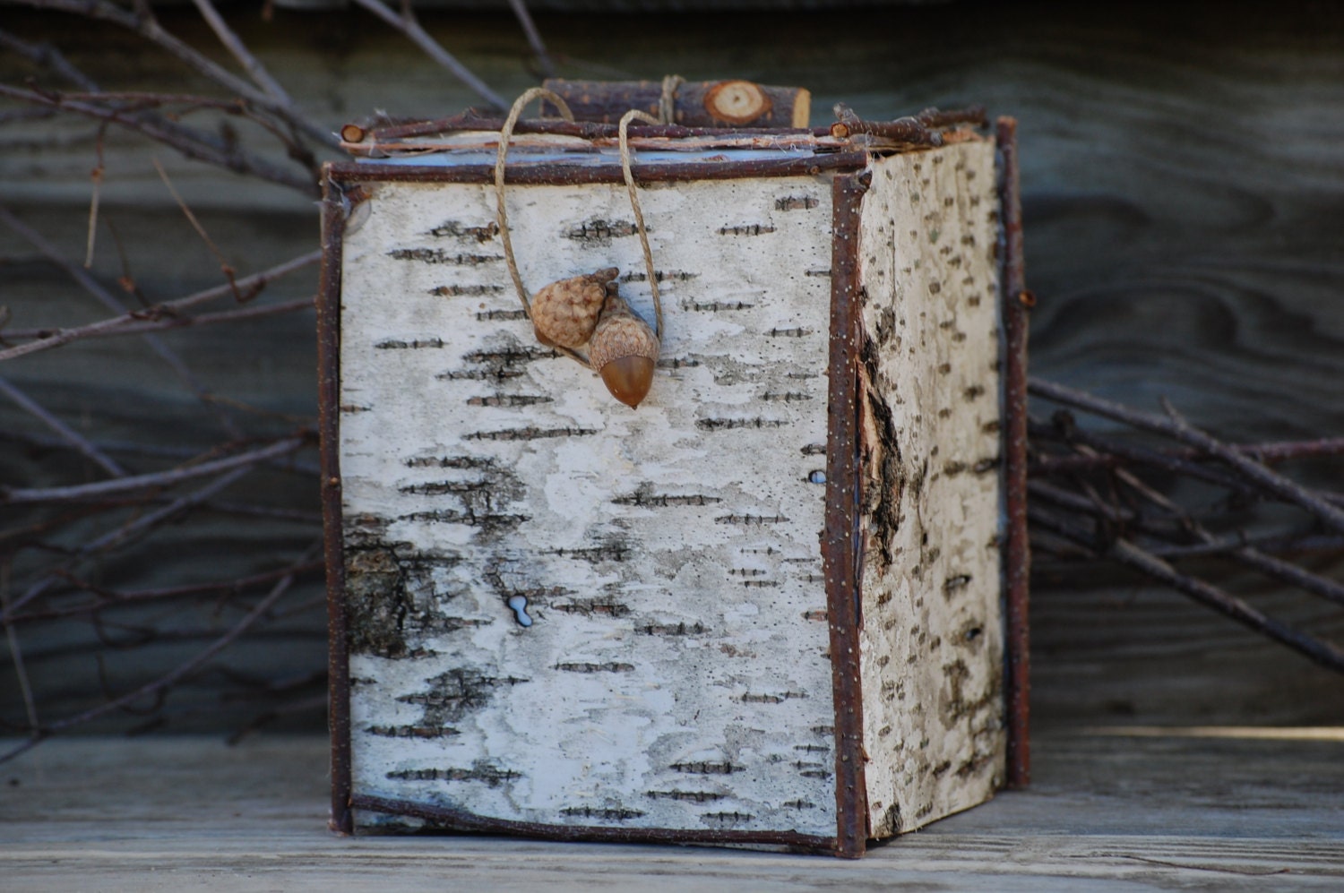 Birch Bark Container the listing is for 1 container center