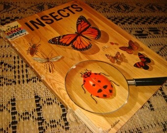 vintage 1960 How and Why Books INSECTS Colored Pictures Ants Bees Wasps Collecting Insects