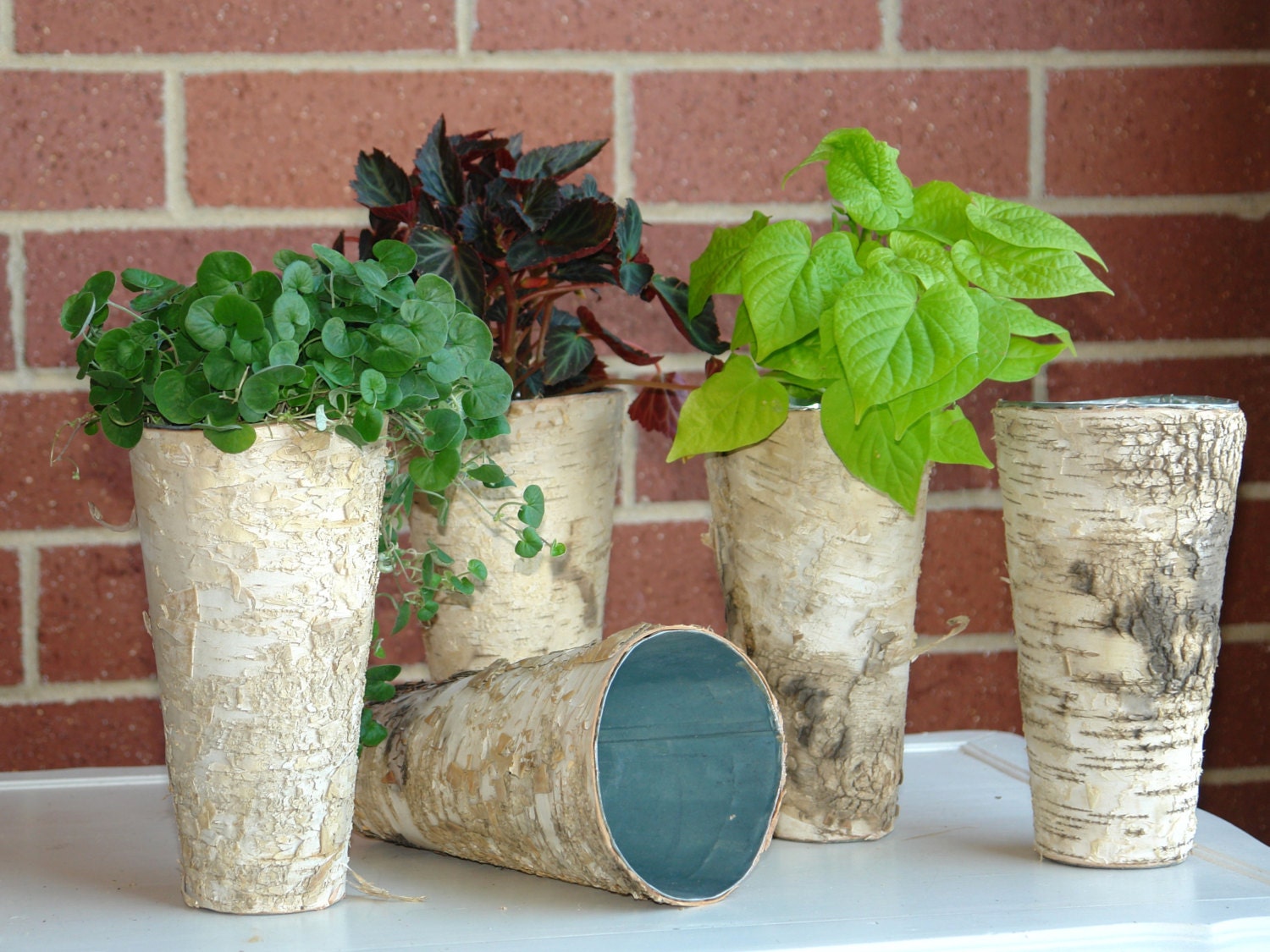 birch bark vases with metal liner wedding centerpieces