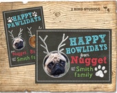 holiday photo card - dog Christmas card - pet holiday card for family Christmas greetings Il_170x135