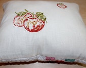 Double sided embroidered apple pillow