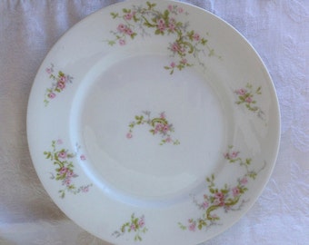 Theodore Haviland Limoges, made in France. One dinner plate with pink ...