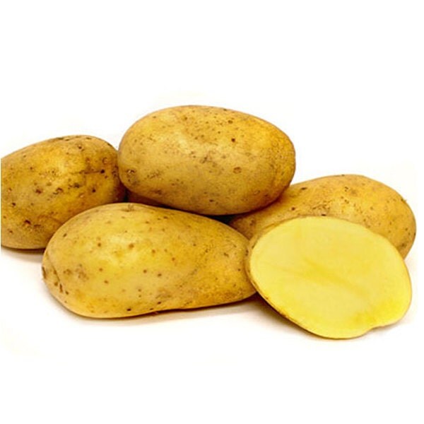 Bintje Potato Seed Certified Organic and Virus Free 2 Lbs.