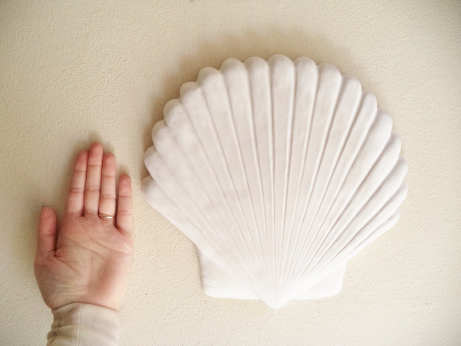 Large sea shell wall hanging sculpture set decor white sea