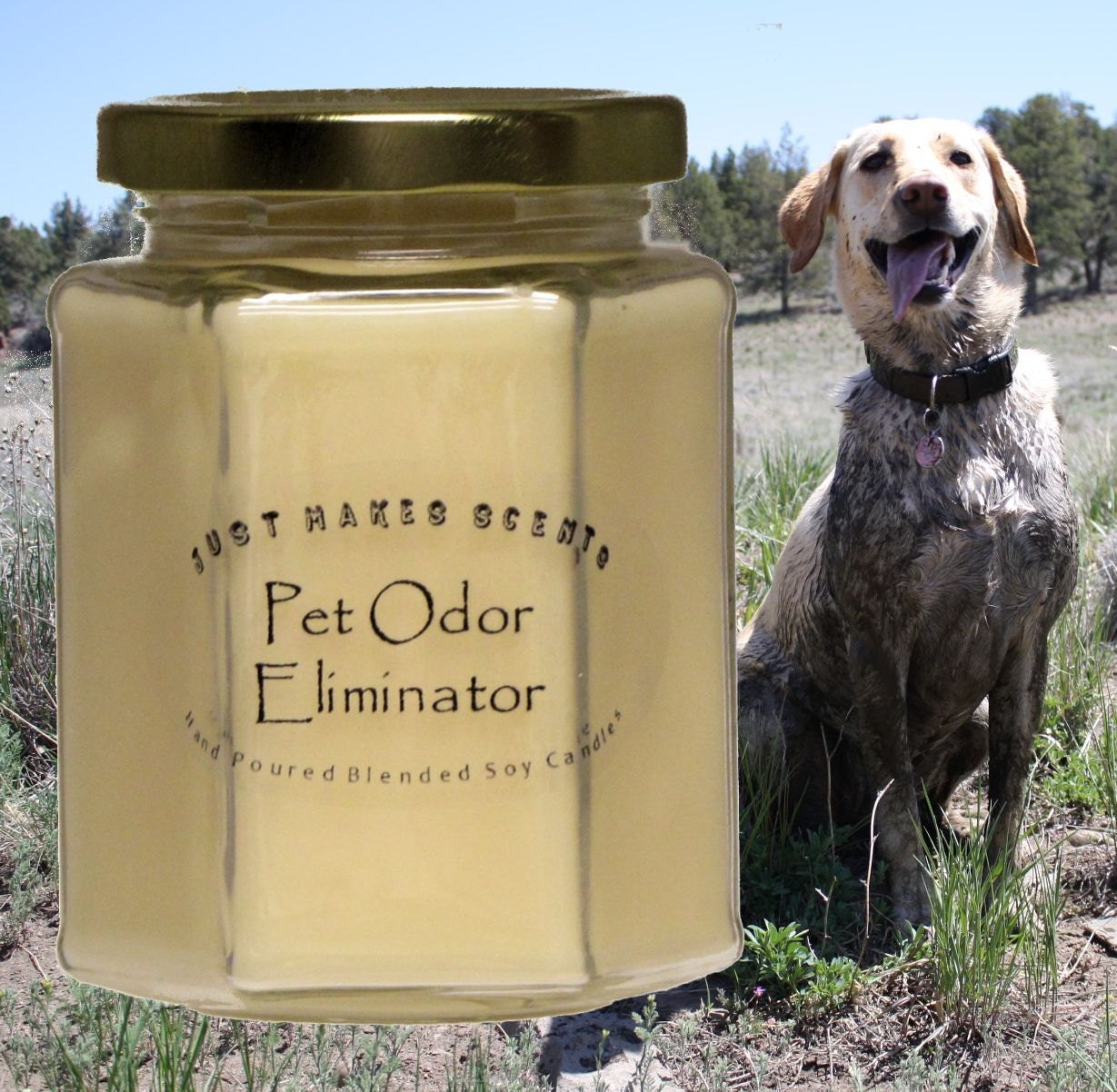 Pet Odor Eliminator Candles Blended Soy Candles