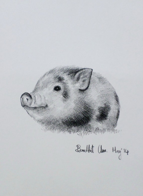 Items similar to Little Pigs. Original Drawing Pencil on paper. on Etsy