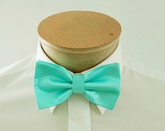 Mens Bowties Pool Blue Robin's Egg Blue Solid PreTied Bow Tie Neck Tie
